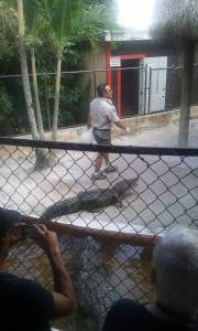 12507216_557333489313_2011812430897917728_n