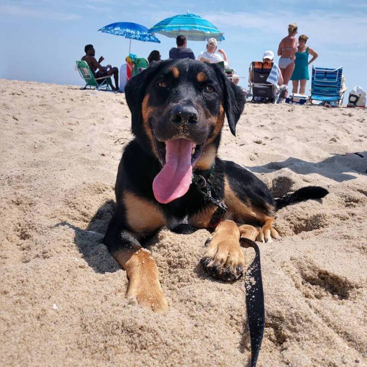 36447609_10211793869102197_2571015668753235968_n